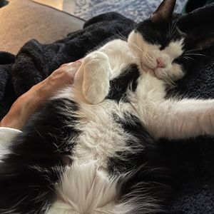 Meet your Posher, Paula